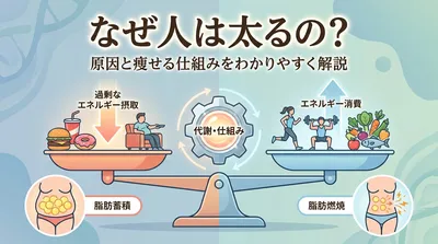 なぜ人は太るの？原因と痩せる仕組みをわかりやすく解説
